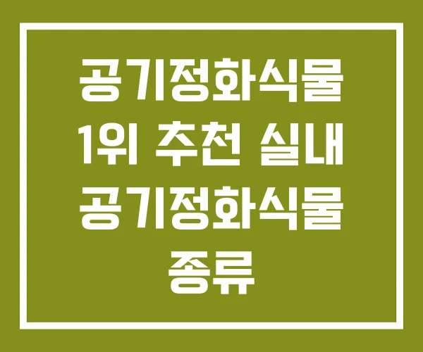 공기정화식물 1위 추천 실내 공기정화식물 종류