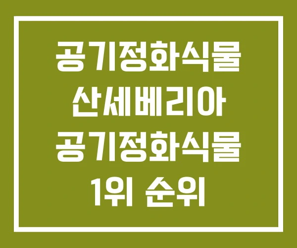 공기정화식물 산세베리아 공기정화식물 1위 순위