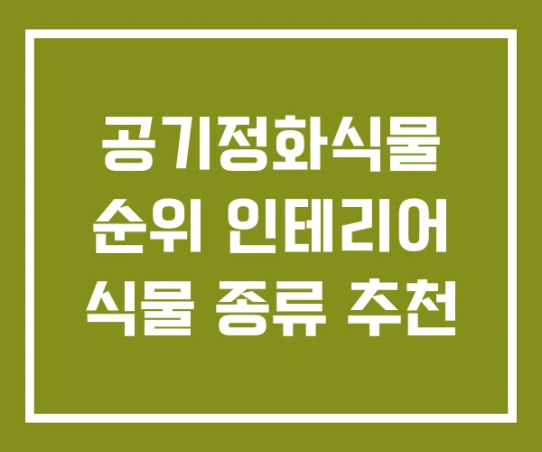 공기정화식물 순위 인테리어 식물 종류 추천