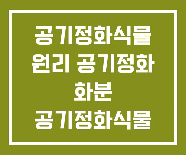 공기정화식물 원리 공기정화 화분 공기정화식물 1위