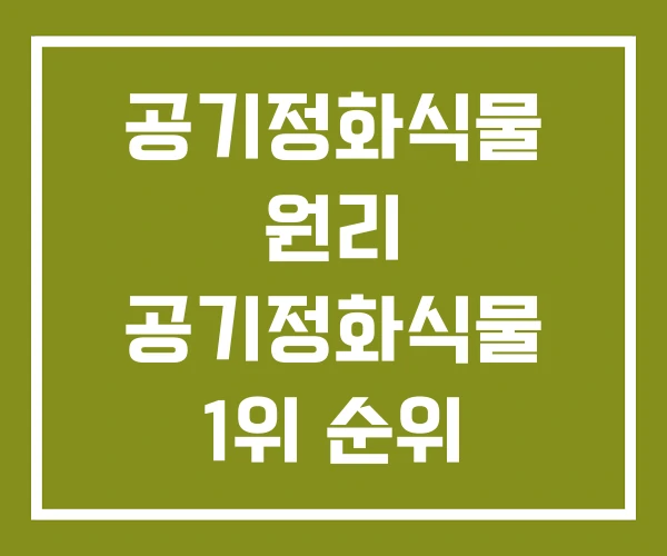 공기정화식물 원리 공기정화식물 1위 순위