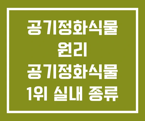 공기정화식물 원리 공기정화식물 1위 실내 종류