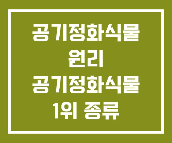 공기정화식물 원리 공기정화식물 1위 종류