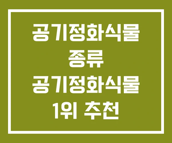 공기정화식물 종류 공기정화식물 1위 추천