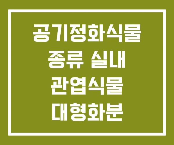 공기정화식물 종류 실내 관엽식물 대형화분
