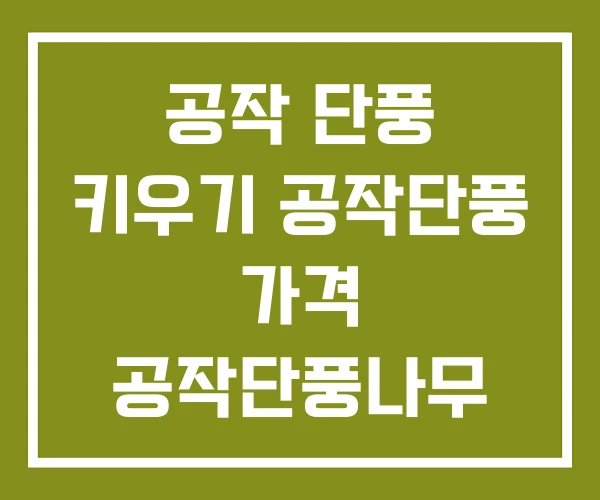 공작 단풍 키우기 공작단풍 가격 공작단풍나무
