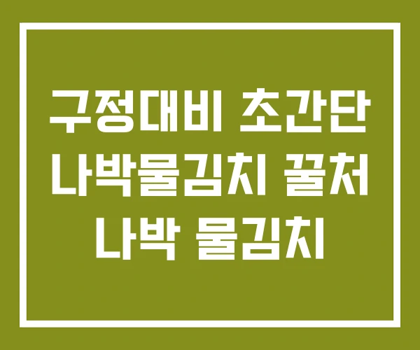구정대비 초간단 나박물김치 꿀처 나박 물김치
