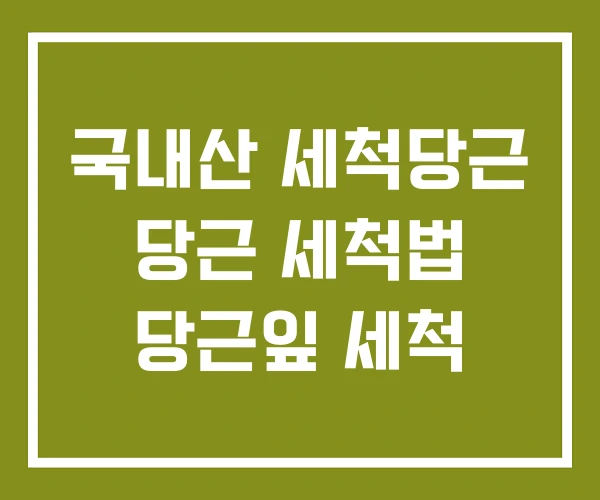 국내산 세척당근 당근 세척법 당근잎 세척