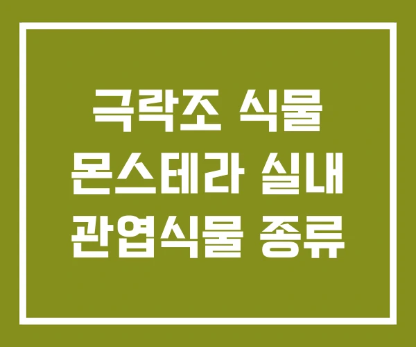 극락조 식물 몬스테라 실내 관엽식물 종류