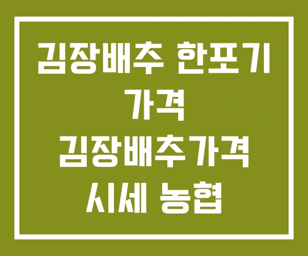 김장배추 한포기 가격 김장배추가격 시세 농협 하나로마트