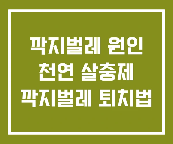 깍지벌레 원인 천연 살충제 깍지벌레 퇴치법