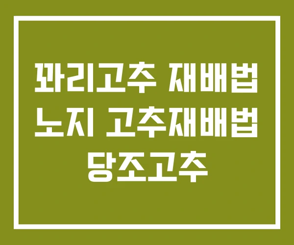 꽈리고추 재배법 노지 고추재배법 당조고추