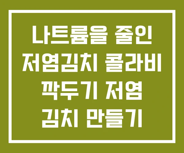 나트륨을 줄인 저염김치 콜라비 깍두기 저염 김치 만들기