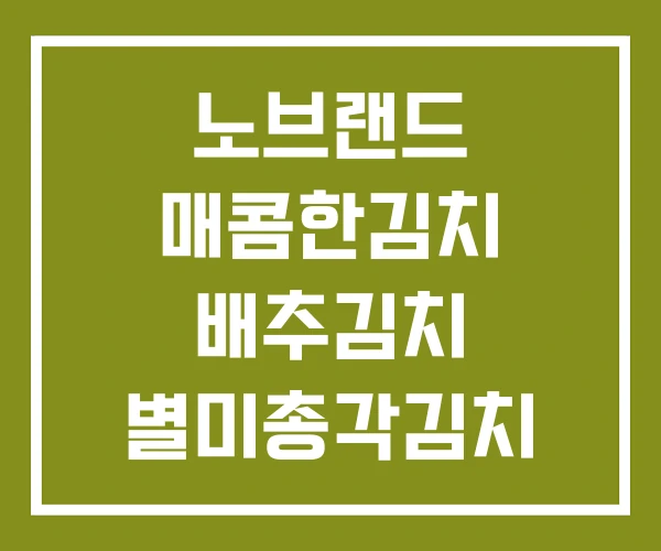 노브랜드 매콤한김치 배추김치 별미총각김치