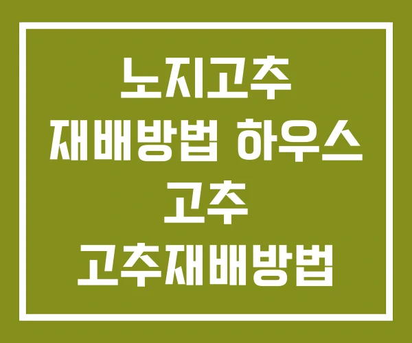 노지고추 재배방법 하우스 고추 고추재배방법