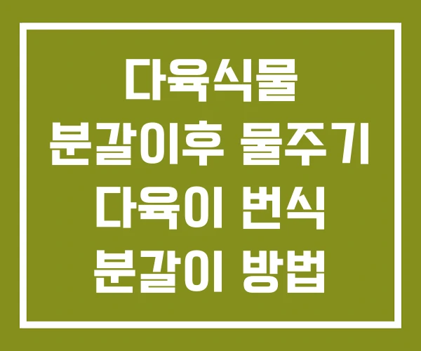 다육식물 분갈이후 물주기 다육이 번식 분갈이 방법