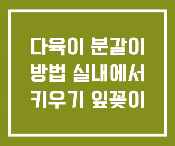 다육이 분갈이 방법 실내에서 키우기 잎꽂이