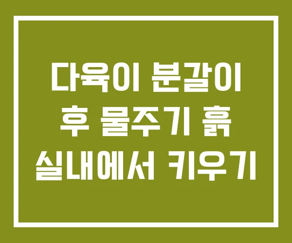 다육이 분갈이 후 물주기 흙 실내에서 키우기 다육이 분갈이 후 물주기 흙 실내에서 키우기