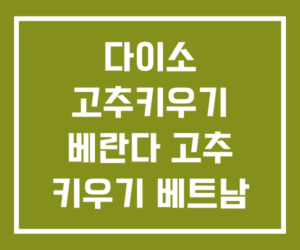 다이소 고추키우기 베란다 고추 키우기 베트남