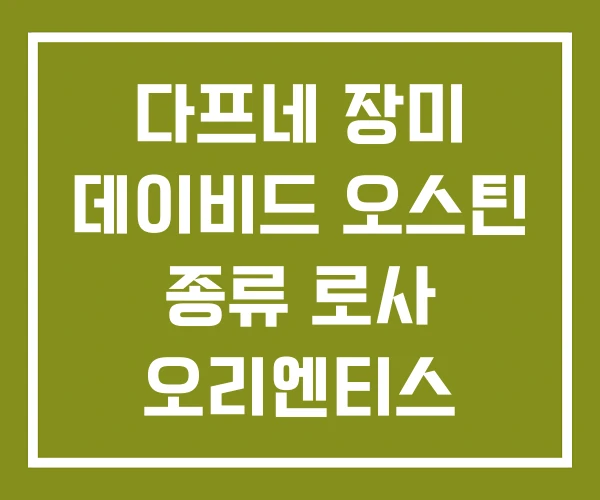 다프네 장미 데이비드 오스틴 종류 로사 오리엔티스