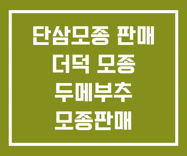 단삼모종 판매 더덕 모종 두메부추 모종판매 단삼모종 판매 더덕 모종 두메부추 모종판매