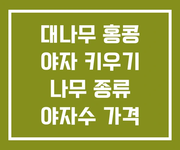 대나무 홍콩 야자 키우기 나무 종류 야자수 가격
