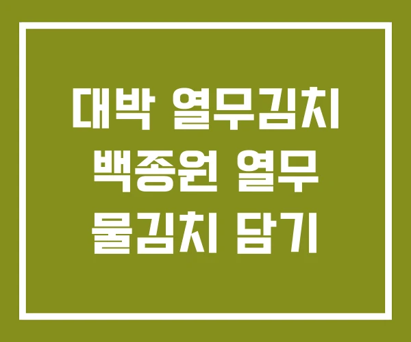 대박 열무김치 백종원 열무 물김치 담기