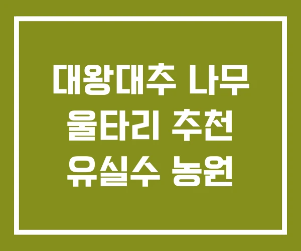 대왕대추 나무 울타리 추천 유실수 농원 대왕대추 나무 울타리 추천 유실수 농원