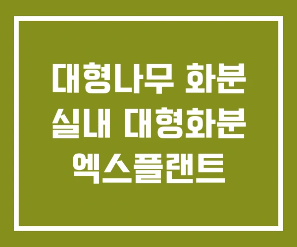 대형나무 화분 실내 대형화분 엑스플랜트