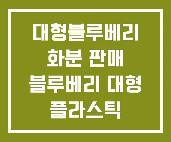 대형블루베리 화분 판매 블루베리 대형 플라스틱 대형블루베리 화분 판매 블루베리 대형 플라스틱