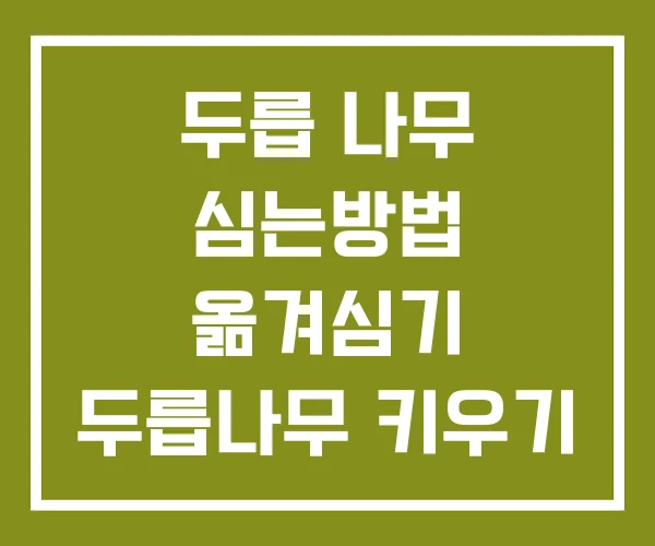 두릅 나무 심는방법 옮겨심기 두릅나무 키우기