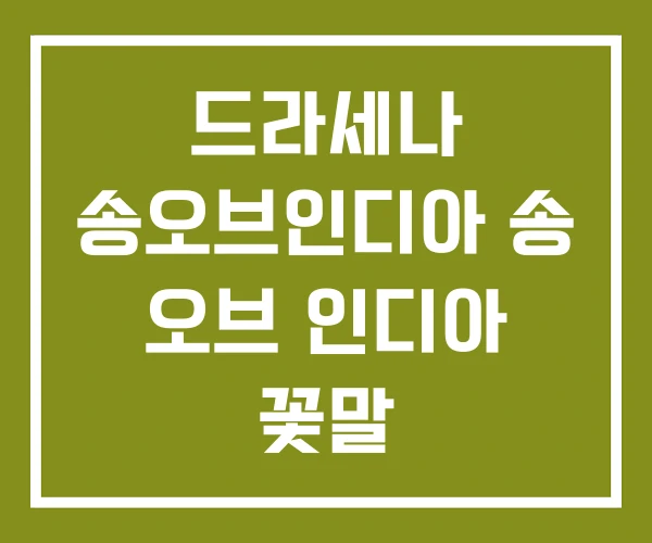 드라세나 송오브인디아 송 오브 인디아 꽃말