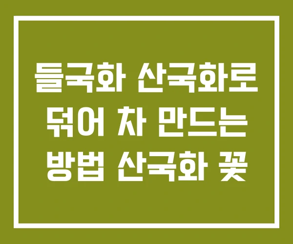 들국화 산국화로 덖어 차 만드는 방법 산국화 꽃