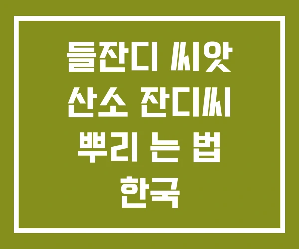 들잔디 씨앗 산소 잔디씨 뿌리 는 법 한국