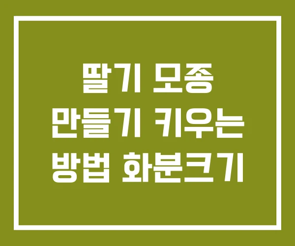 딸기 모종 만들기 키우는 방법 화분크기 딸기 모종 만들기 키우는 방법 화분크기