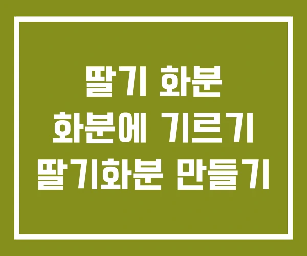 딸기 화분 화분에 기르기 딸기화분 만들기
