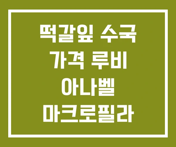 떡갈잎 수국 가격 루비 아나벨 마크로필라