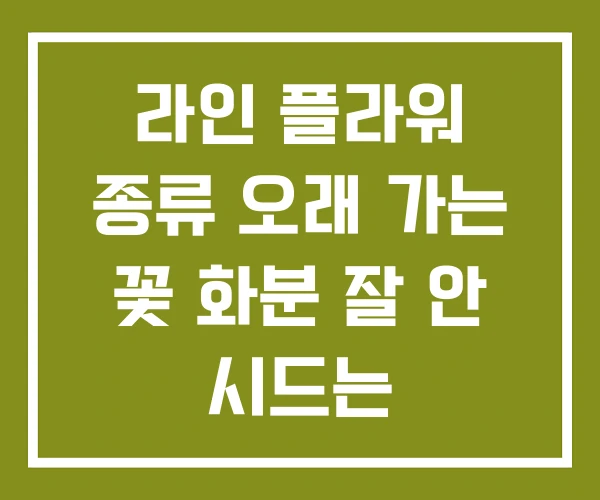 라인 플라워 종류 오래 가는 꽃 화분 잘 안 시드는