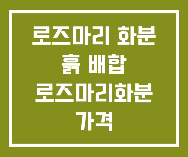 로즈마리 화분 흙 배합 로즈마리화분 가격