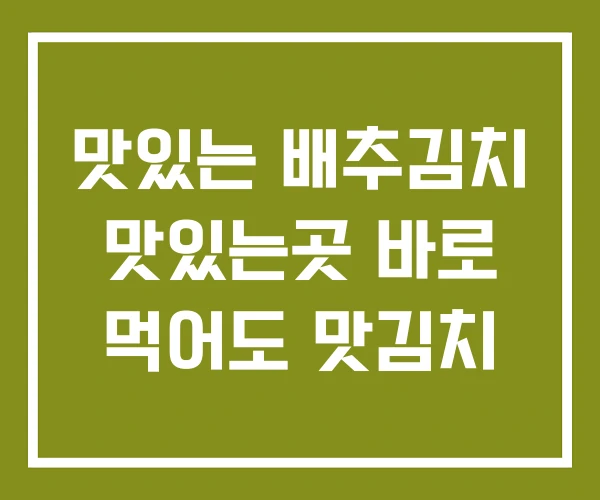 맛있는 배추김치 맛있는곳 바로 먹어도 맛김치