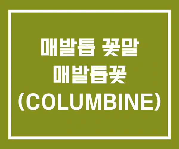 매발톱 꽃말 매발톱꽃 (COLUMBINE)