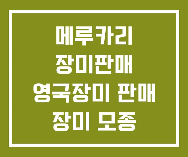 메루카리 장미판매 영국장미 판매 장미 모종