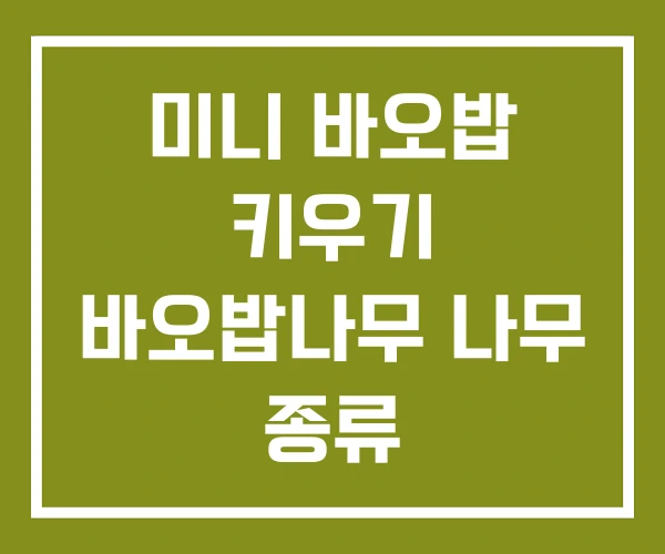 미니 바오밥 키우기 바오밥나무 나무 종류