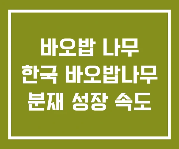 바오밥 나무 한국 바오밥나무 분재 성장 속도 바오밥 나무 한국 바오밥나무 분재 성장 속도