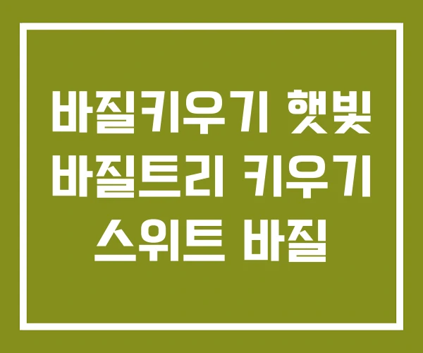 바질키우기 햇빛 바질트리 키우기 스위트 바질