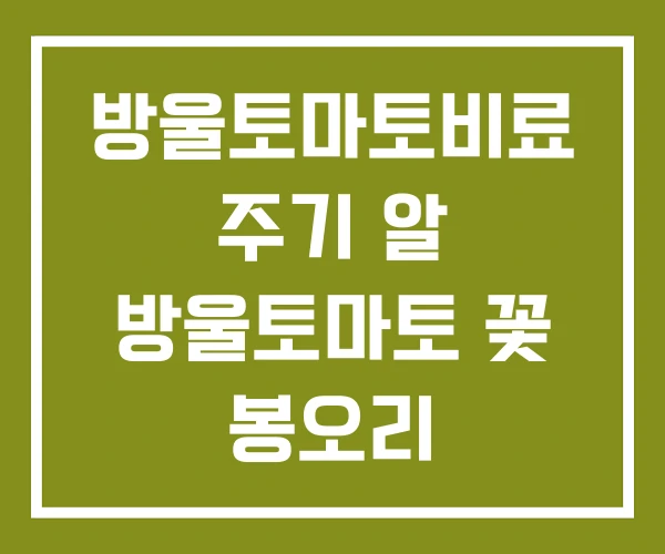 방울토마토비료 주기 알 방울토마토 꽃 봉오리