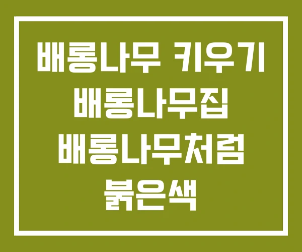 배롱나무 키우기 배롱나무집 배롱나무처럼 붉은색