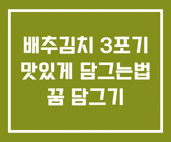 배추김치 3포기 맛있게 담그는법 꿈 담그기