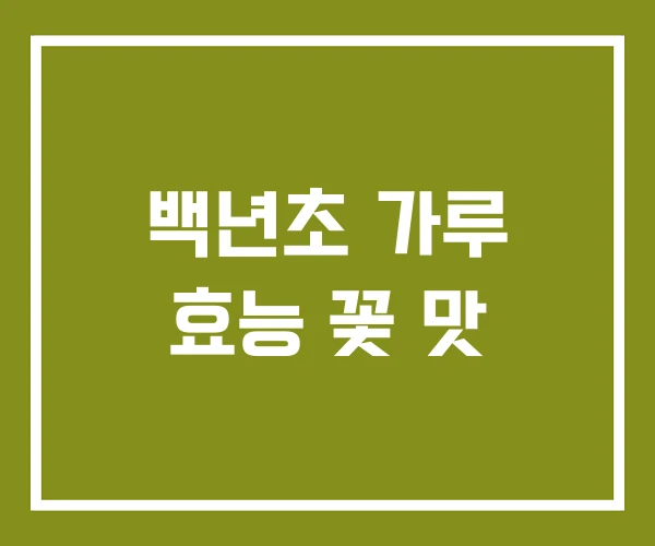 백년초 가루 효능 꽃 맛 백년초 가루 효능 꽃 맛