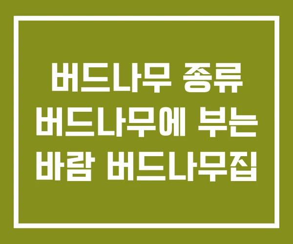버드나무 종류 버드나무에 부는 바람 버드나무집